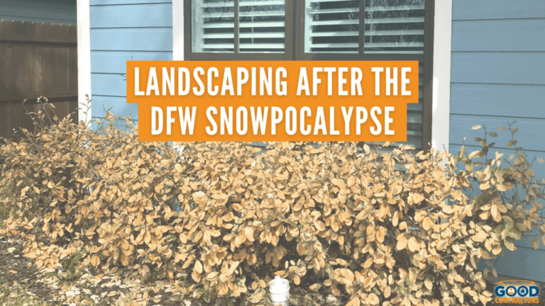 Landscaping-After-The-DFW-Snowpocalypse-BLOG-2-1024x576